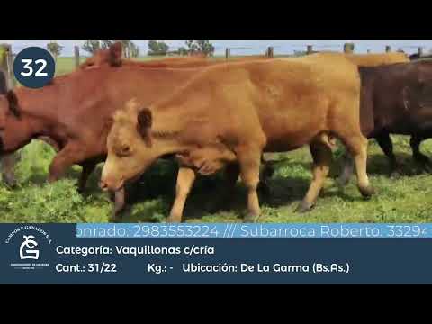 Lote VQ CGP - De la Garma Bs As