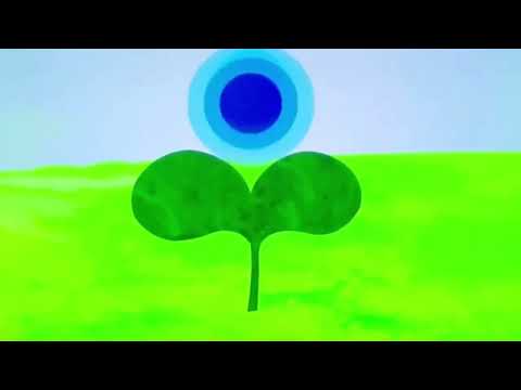 関西でお馴染みの『めばえ』風動画を作ります