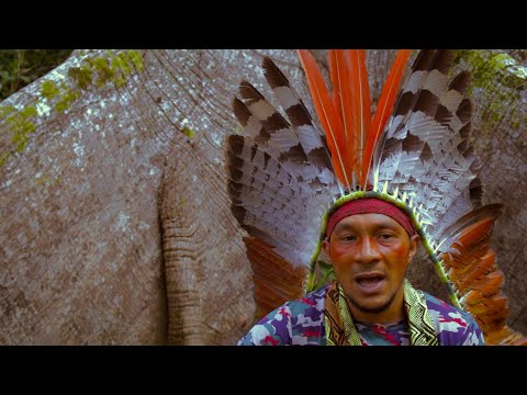 Caminhando na Floresta/ Mãe Natureza - Salu Shawãdawa