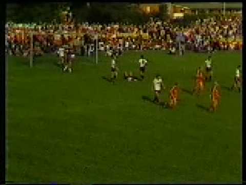 Bergedorf vs Bayern (1982-83)