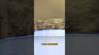 Aparições de criaturas gravadas em video(parte 14)#bizarro