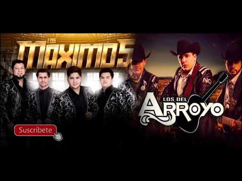 Los Del Arroyo Ft. Los Maximos - Dos Palmadas (AUDIO 2019)