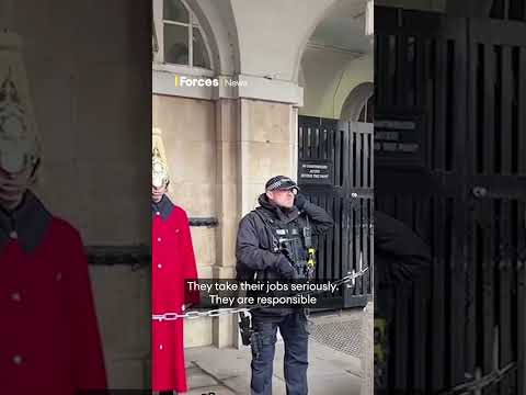 Armed police officer shuts down tourists heckling King's Guard