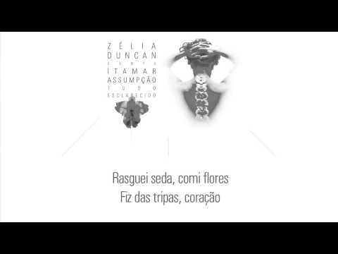 Quem Mandou - Zélia Duncan