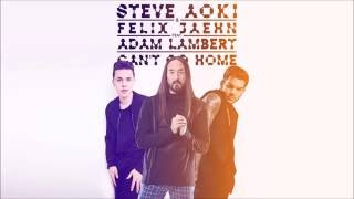 Steve Aoki - Can&#39;t Go Home LYRICS (feat Felix Jaehn, Adam Lambert ) LYRICS