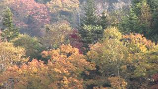 preview picture of video '釧路市阿寒町の紅葉2011'