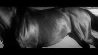 'Omaha' - Brother & Bones