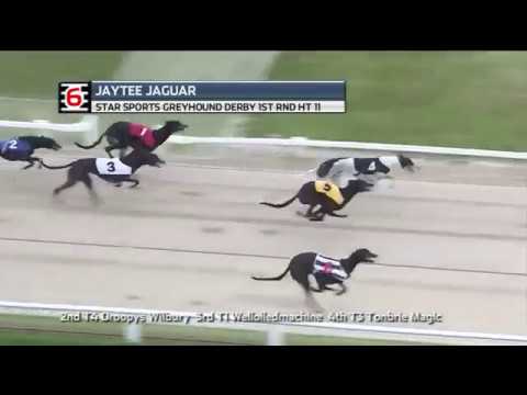 2018 STAR SPORTS DERBY - ROUND 1 HEAT 11 - T6 JAYTEE JAGUAR