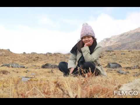 happy birthday Pragya