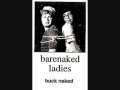 Barenaked Ladies - Bucknaked - 5.Great Provider