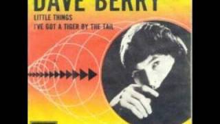 Dave Berry - Little Things video