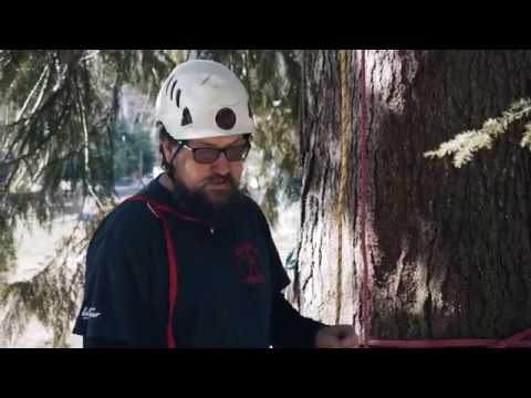 Petzl I'D (2019) - What's new?