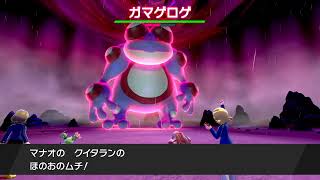 【クリア後】ポケモン剣盾【多分厳選】