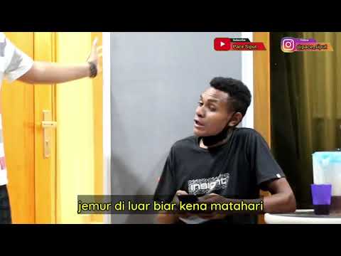 video-lucu-matahari-kocak