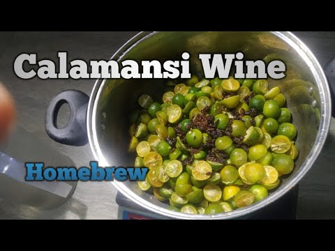 Calamansi Wine - Homebrew easy recipe