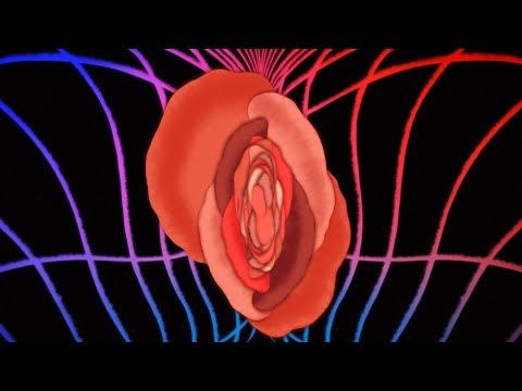 PSSY | Clark on Netflix