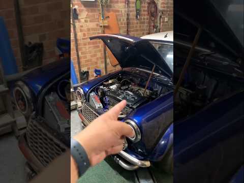 This car literally setting wallet on fire🔥 #minicooper #car #jdmcars #classicmini #classiccars #vtec