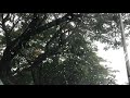 Mazhai Mazhai Idhyathil Song Ullam Ketkume Movie