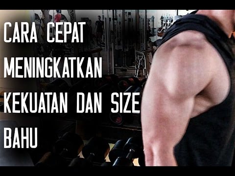 Ukuran kecil beberapa anggota Petunjuk penggunaan dari torus palu