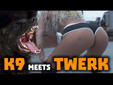 K9 Dutch Shepherd Kratos @ Twerk Anel Li VideoClip
