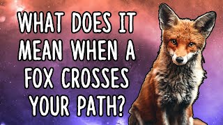 ماذا يعني عندما يعبر الثعلب طريقك؟