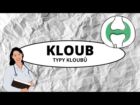 KLOUB - typy kloubů