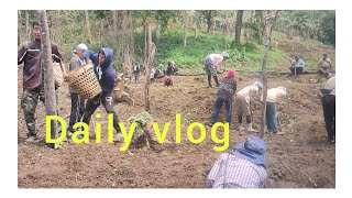 Farmers life in village daily vlog 