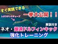 【水泳】解説付き!ネオ爆速ドルフィンキック強化トレーニング