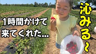 【お出かけ】大変な時に私たちを外へ連れ出してくれた友達｜3歳児＆0歳児と初めてのいちご狩りは...？［アメリカ生活|育児|vlog］