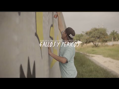 9ASER7 - GALLOS Y PERICOS🐓🐦FT. @LEYRUK  X @marlondilan (PROD.LACLAVEPRO)