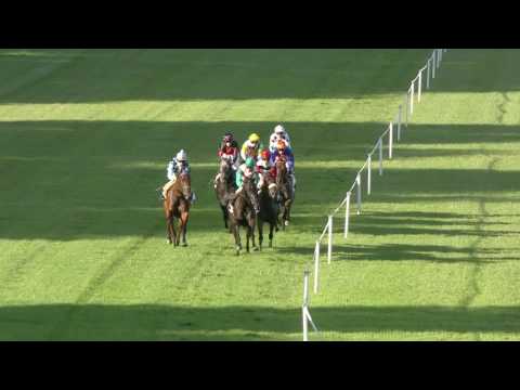 Avenches/03.08.2016/Prix de Munich