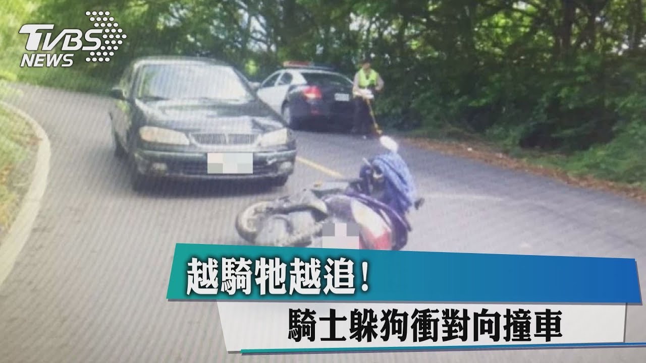 越騎牠越追！　騎士躲狗衝對向撞車