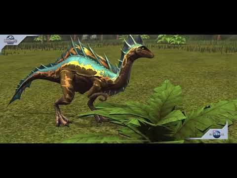 Feeding Ophiacomimus Evo 4