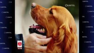 Download lagu Canadá legaliza actos sexuales entre personas y animales mp3 Download lagu Canadá legaliza actos sexuales entre personas y animales mp3