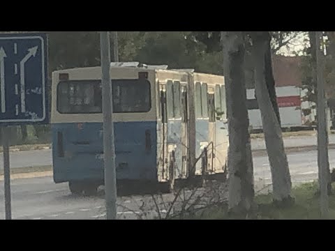 Volvo B10MA-55 / Neobus 405GZ #730 | Linija 53