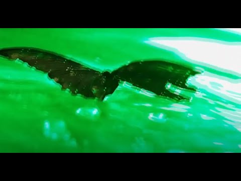 (free) travis scott x asap rocky type beat ~ evil be my witness ~ trap instrumental - 2022