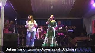 Download lagu Bukan Yang Kupinta Cover Yayah Andriani (LIVE SHOW BATUKARAS PANGANDARAN) mp3 Download lagu Bukan Yang Kupinta Cover Yayah Andriani (LIVE SHOW BATUKARAS PANGANDARAN) mp3