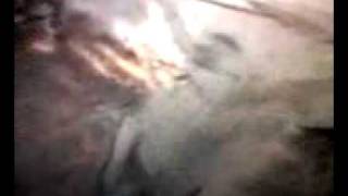 c2k barried alive2006