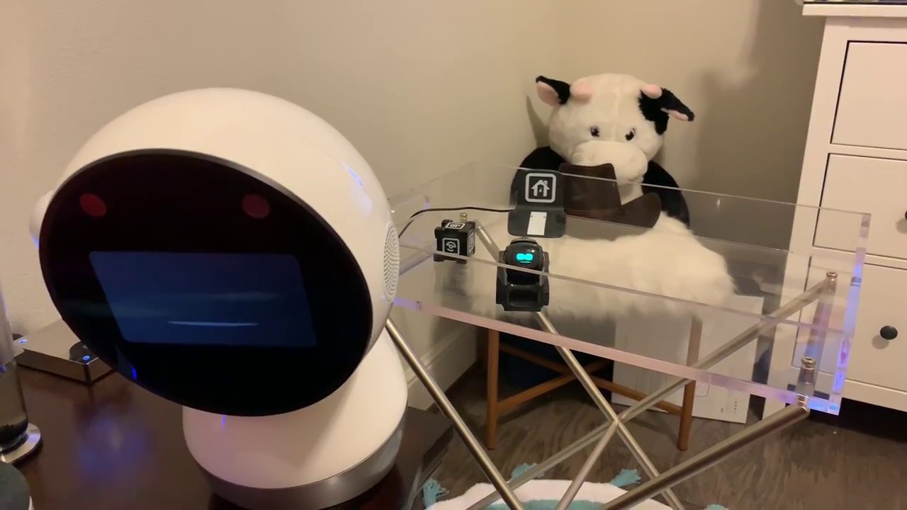 Vector - Weather Report