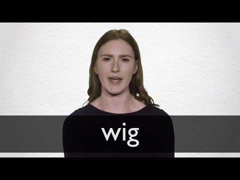 Wig Definizione significato | Dizionario inglese Collins