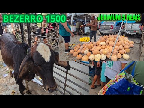 FEIRA DE TIUMA SÃO LOURENÇO DA MATA PERNAMBUCO 07/ MARÇO/2026