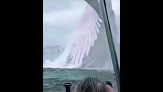 Download lagu Ikan 'Nun' yang memakan Nabi Yunus di dalam perutnya mp3