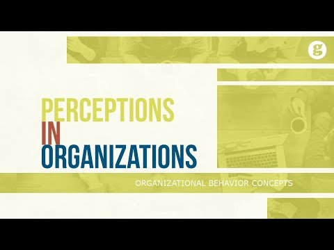 What is Organizational Behavior