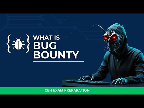 What is BUG BOUNTY CEH Exam Preparation 2024 HEMANG DOSHI
