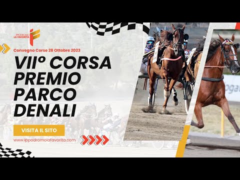 VII Corsa del 28 Ottobre 2023 - 4 Anni - Metri 1600