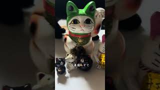 【猫動画】保護した仔猫と先住猫日常🐈‍⬛かわいいし癒し #保護猫 #子猫 #ねこのいる生活