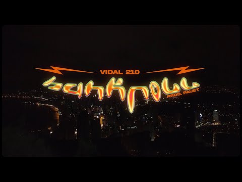Vidal 210 - BANKROLL 🍟 (Prod. Pauet)