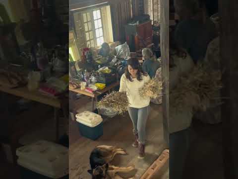 Boranaideia? Está em Utopia da Mata / Bom Repouso -MG