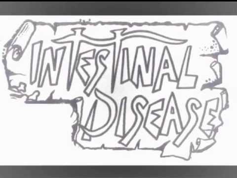 intestinal disease-i dont think so