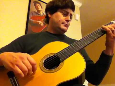 Scott Niebauer performs La Calma Asencio Collectici Intim